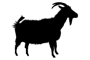 Goat animal, black silhouette. Vector illustration