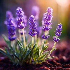 beautiful flower natural view element in a magical atmosphere