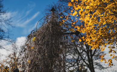 Cross in a Cemetery During All Saints' Day in Autumn in Poland