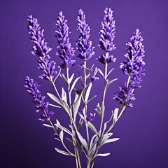 Fototapeta premium beautiful flower natural view element in a magical atmosphere