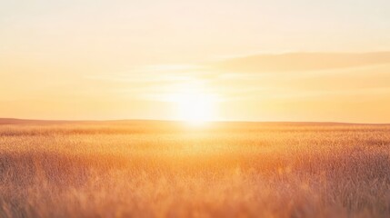 Fototapeta premium A peaceful sunset over a field with faded tones of soft orange, pale lavender, and light gray, the colors softly blending into the horizon