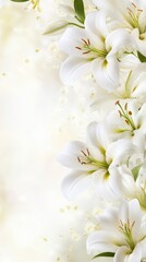 Obraz premium Elegant White Lilies on a Soft Background