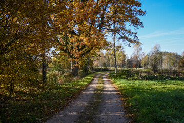 golden autumn hiking nature trail in sunny fall day at countryside