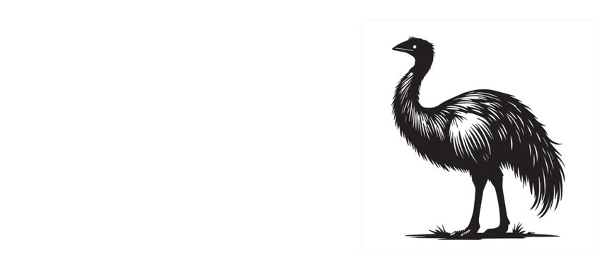 Greater rhea Flightless bird Silhouette Design - Greater rhea bird Vector illustration in black and white