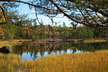 Lake in autumn