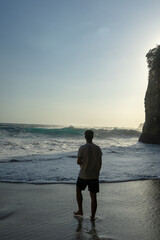 A person stands on the beach, gazing at the ocean waves.