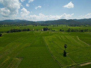 Agricultural conversion in rural areas, lowlands between hills in northern Thailand. Aerial view.