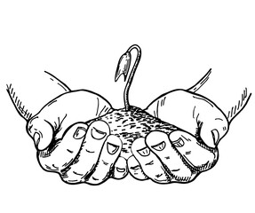 llustration of a young plant with earth in hands. Palm trees holding sprouts in sketch style isolated on white. Care of the Environment. Ecology concept