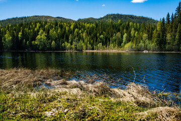 Obraz premium Beautiful lake in South Norway on a sunny day
