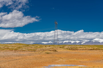 A group of wild Tibetan antelopes on the Qinghai-Tibet Plateau with the Kunlun Snow Mountains