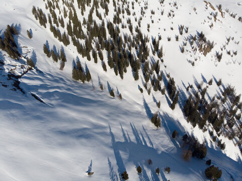 Snow-covered mountainside with pine trees casting long shadows.