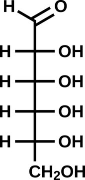 D-Allose structural formula in Fischer projection, monosaccharide allose in open-chain form vector illustration