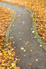 Ein Pfad im Garten aus Kies mit Laub im Herbst