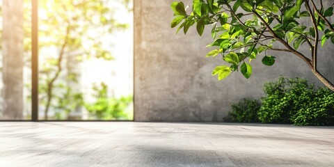Green indoor plant with sunlight illuminating modern interior space.