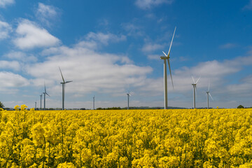 Wind park in the landscape of rapeseed fields. Bio fuel and green energy concept.