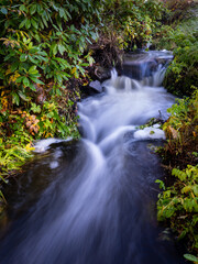 waterfall in the forest