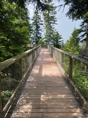 Fototapeta premium wooden bridge in the forest