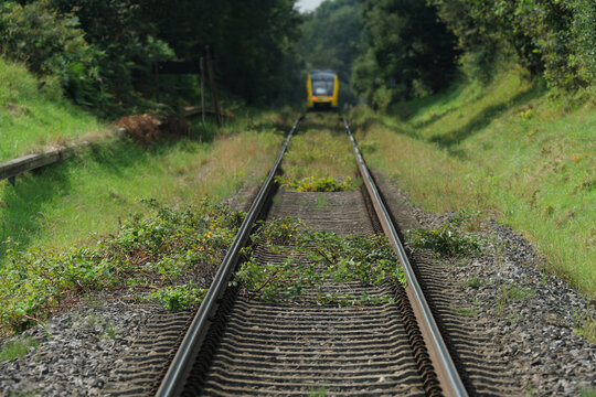 Mit Gras &uuml;berwachsenes Gleis auf eingleisiger Bahnstrecke mit Triebwagen von Privatbahn - Stockfoto