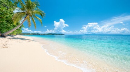 Serene tropical beach with clear turquoise waters