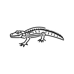 Naklejka premium crocodile line art, vector illustration