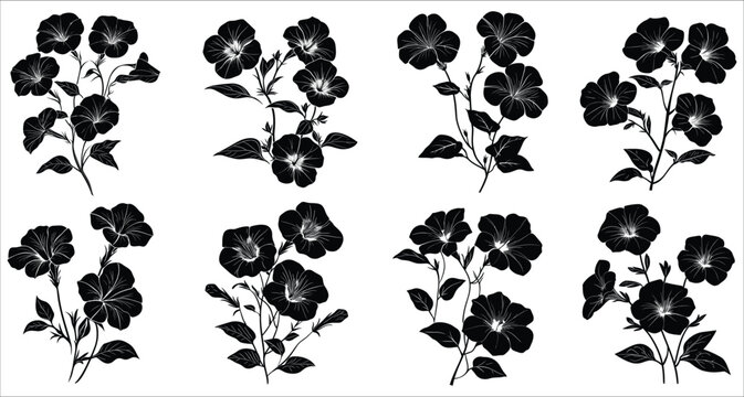 Set of decorative petunia flower silhouettes. Vector set of petunia silhouettes. Elegant vector petunia flowers silhouettes. Petunia flower silhouettes vector