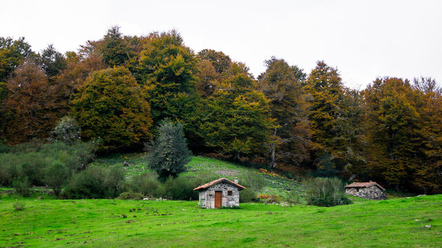 Lonely mountain hut with the forst in its background