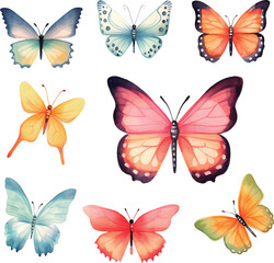 Obraz premium collection of butterflies