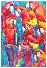blue and yellow macaw, Macaw parrots, animal protection, watercolor illustration, postcard design, for advertising, in red and yellow colors
