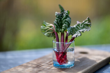 glass of water and rhubarb on the table