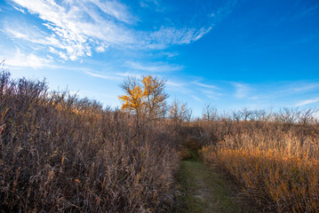 Fototapeta premium Blackstrap provincial park in autumn
