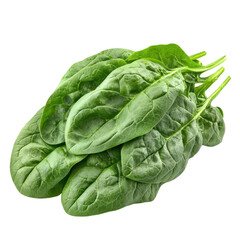 Fototapeta premium Fresh spinach leaves isolated on a white background, ideal for healthy recipes and culinary presentations.