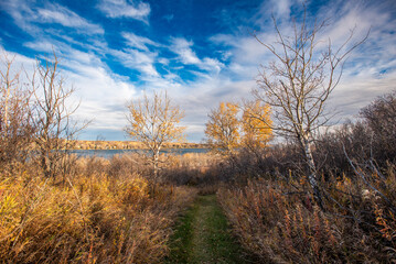 Fototapeta premium Blackstrap provincial park in autumn