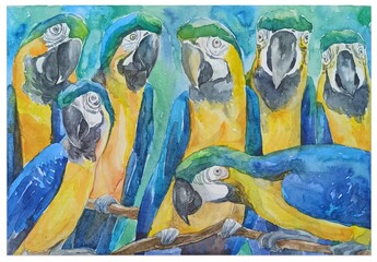 Macaw parrots, animal protection, watercolor illustration, postcard design, for advertising, in cool blue colors
