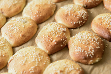Homemade cookies on dripping pan. Selective focus. Close-up