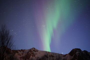 Northern lights in the Lofoten Islands (Norway)