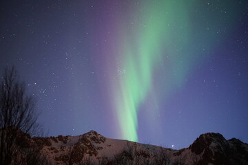 Northern lights in the Lofoten Islands (Norway)