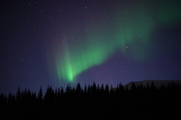 Northern lights in the Lofoten Islands (Norway)