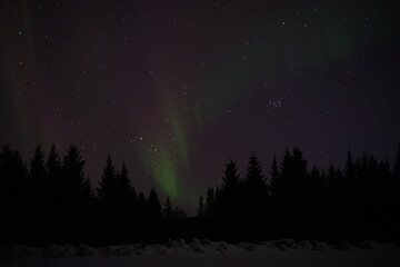 Northern lights in the Lofoten Islands (Norway)