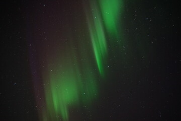 Northern lights in the Lofoten Islands (Norway)