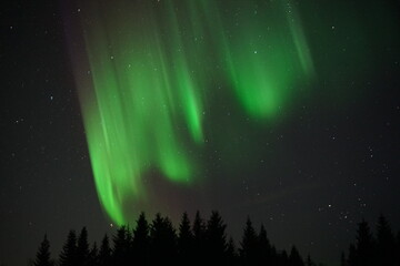 Northern lights in the Lofoten Islands (Norway)
