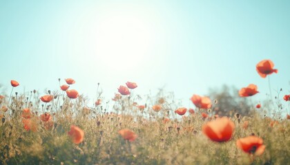 Obraz premium A serene landscape filled with vibrant red poppies swaying gently in the breeze under a bright blue sky. Perfect for capturing the essence of nature and tranquility.