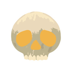 Spooky skull in cartoon style, skull vector illustration isolated on white background.