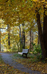 bench in autumn park
