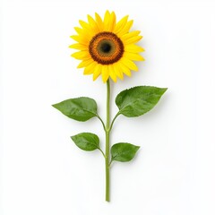 Fototapeta premium Vibrant sunflower with bright yellow petals and green leaves, symbolizing happiness and positivity.