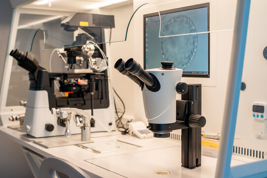 IVF and science Laboratory.  ICSI station and stereomikroscope in a laminar workstation for  In-Vitro fertilization process. 
