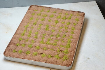 Turkish cold baklava