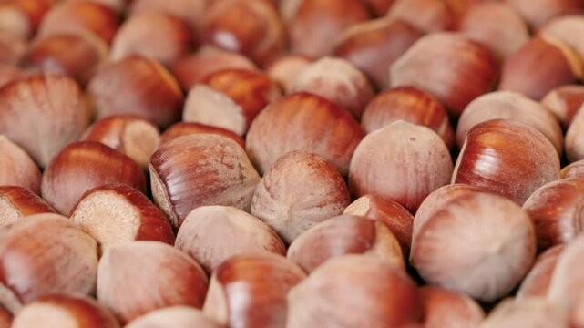 Close up of hazelnuts filling the frame