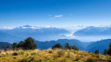Obraz premium A scenic view of a mountain range with a blue sky and a grassy field in the foreground.