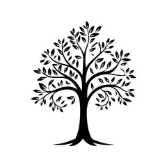 Obraz premium Rounded Canopy Tree