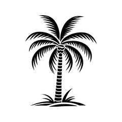 Tropical Palm Tree